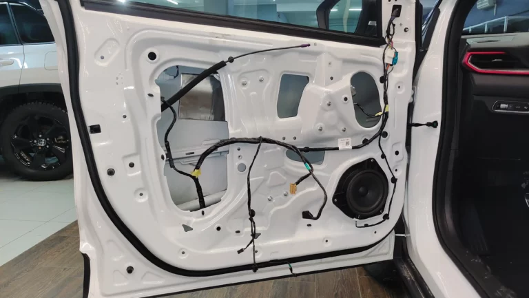 Geely Coolray двер 1 (1)